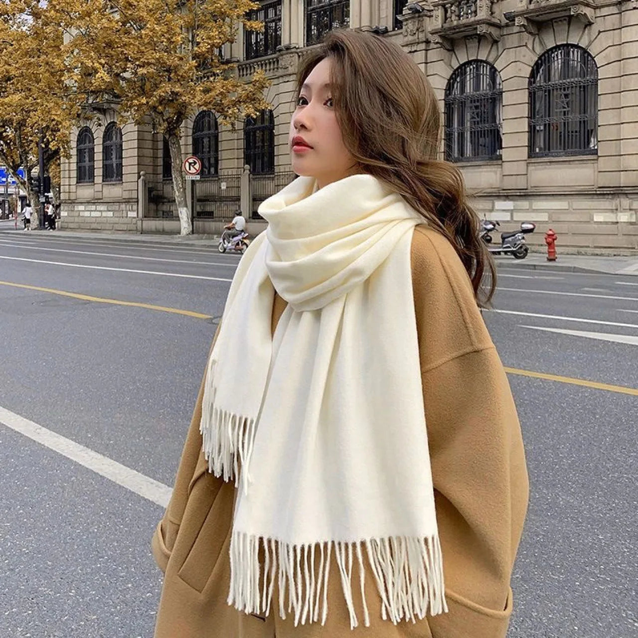 Elegant Tassel Scarf